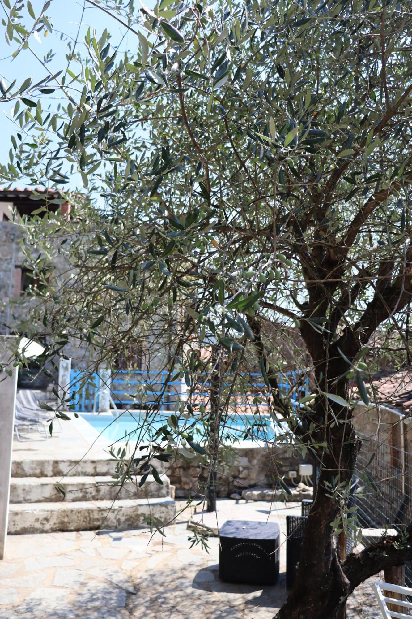 Carpe Diem Colognora Villa Vetriano Kültér fotó