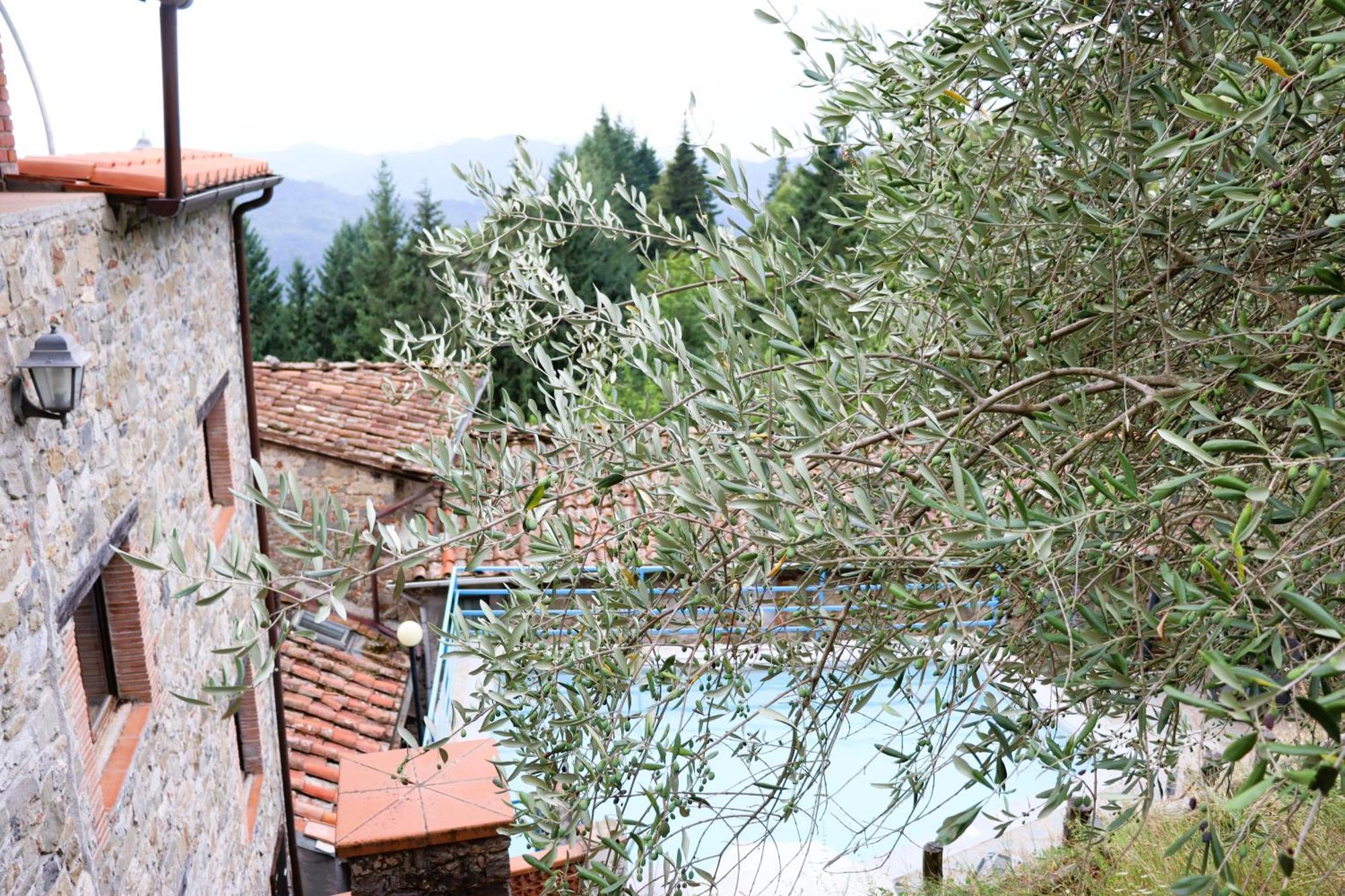 Carpe Diem Colognora Villa Vetriano Kültér fotó