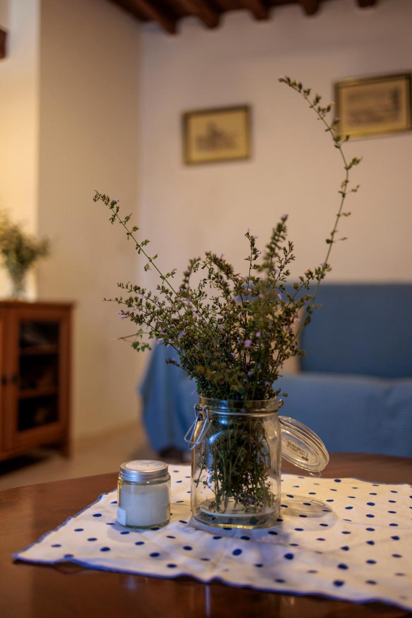Carpe Diem Colognora Villa Vetriano Kültér fotó
